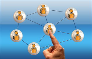 九游娱乐首页-2024年国际乒联混合团体世界杯：德国队顽强拼搏，2024世乒赛